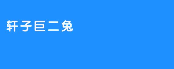 轩子巨二兔：休闲小游戏的全新概念