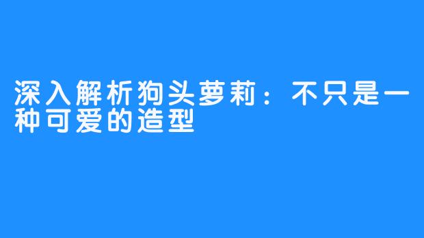 深入解析狗头萝莉：不只是一种可爱的造型