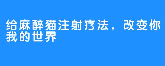 给麻醉猫注射疗法，改变你我的世界