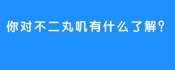 你对不二丸叽有什么了解？