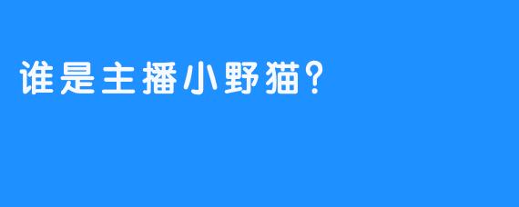 谁是主播小野猫？