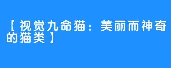 【视觉九命猫:美丽而神奇的猫类】