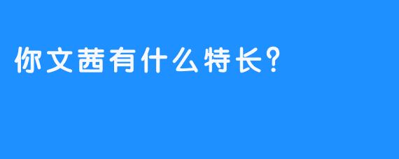 你文茜有什么特长？