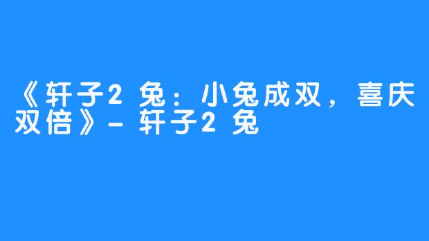 《轩子2兔:小兔成双,喜庆双倍》-轩子2兔