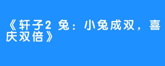 《轩子2兔:小兔成双,喜庆双倍》