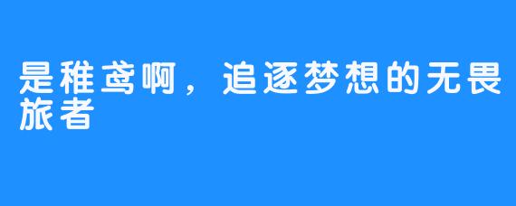 是稚鸢啊,追逐梦想的无畏旅者