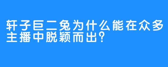 轩子巨二兔为什么能在众多主播中脱颖而出？