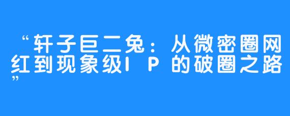 “轩子巨二兔:从微密圈网红到现象级IP的破圈之路”