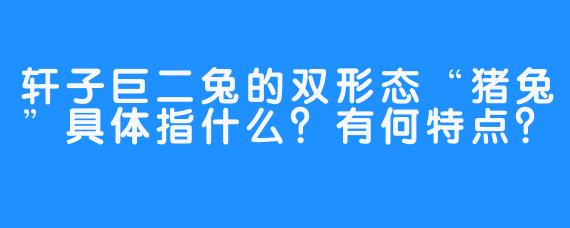 轩子巨二兔的双形态“猪兔”具体指什么？有何特点？