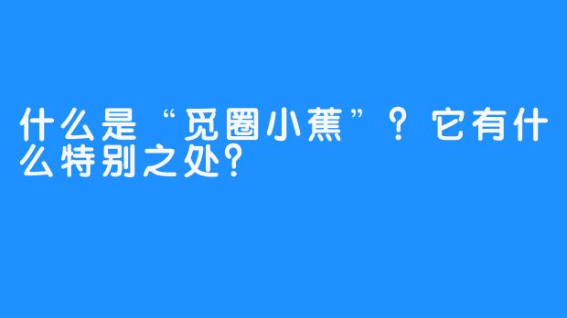 什么是“觅圈小蕉”？它有什么特别之处？