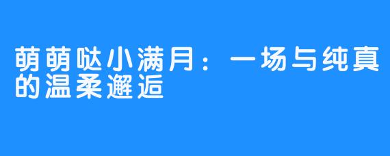 萌萌哒小满月：一场与纯真的温柔邂逅
